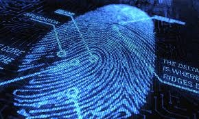 Course FORENSICS 1: (S1) Wilson, S  FORENSICS 1(2)